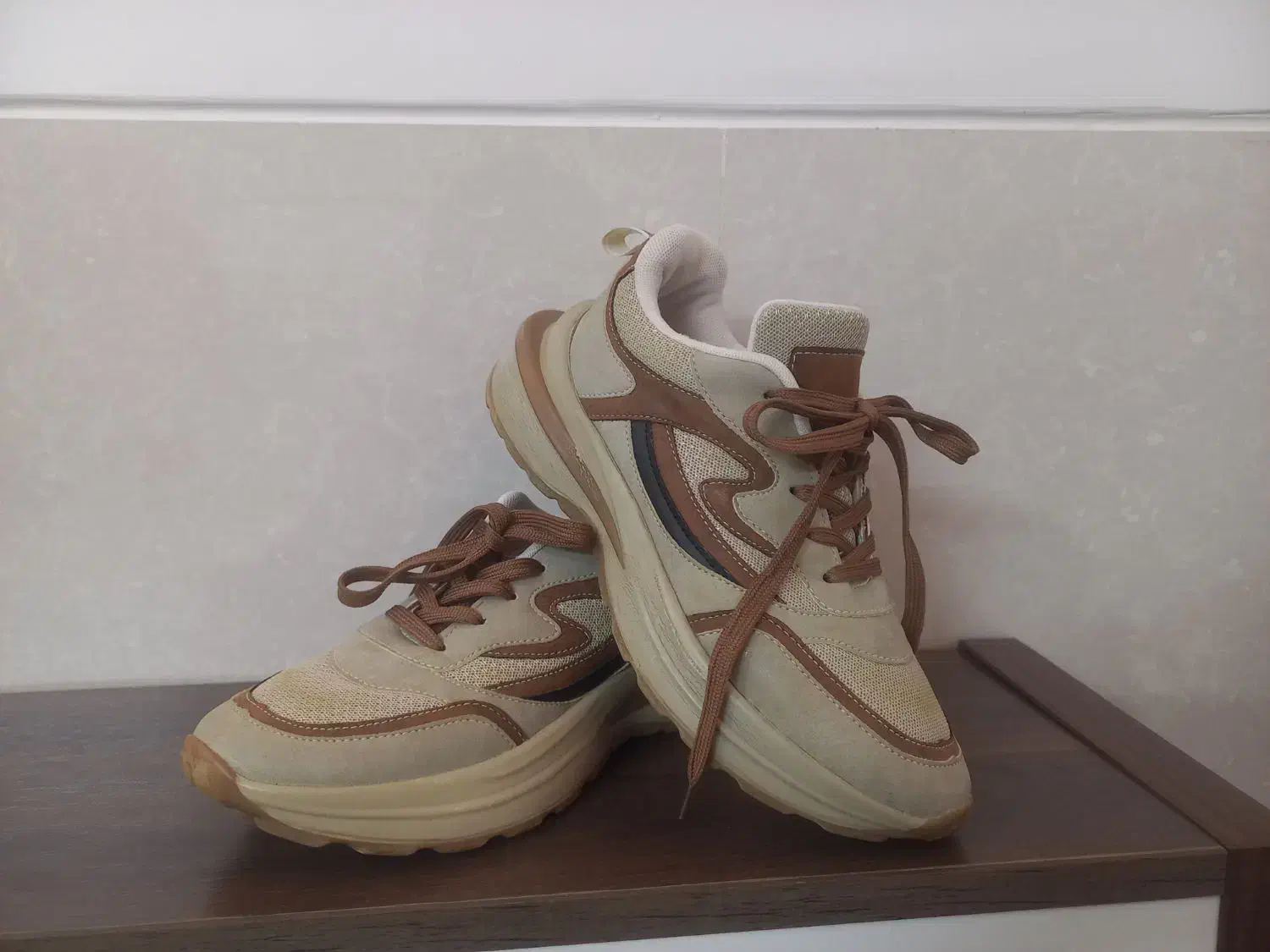 کفش اسپورت|کیف، کفش، کمربند|اشکذر, |دیوار