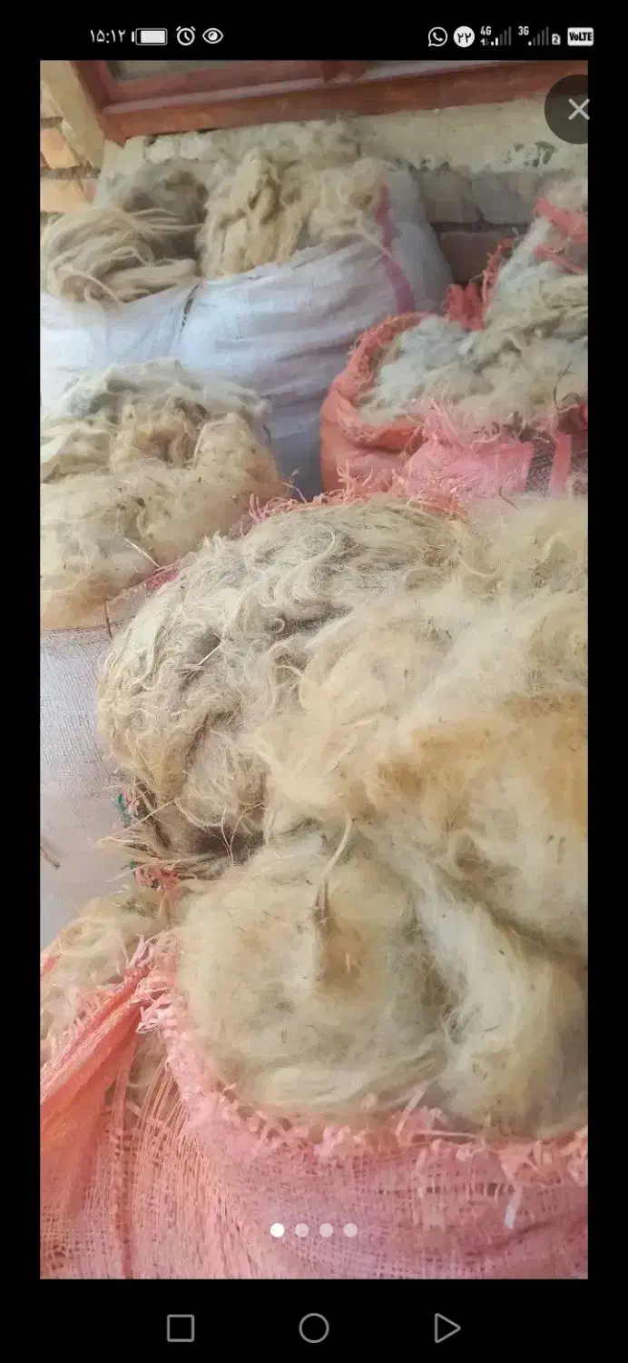 پشم گوسفندی شستشو ‌شده|رختخواب، بالش، پتو|خسروشاه, |دیوار