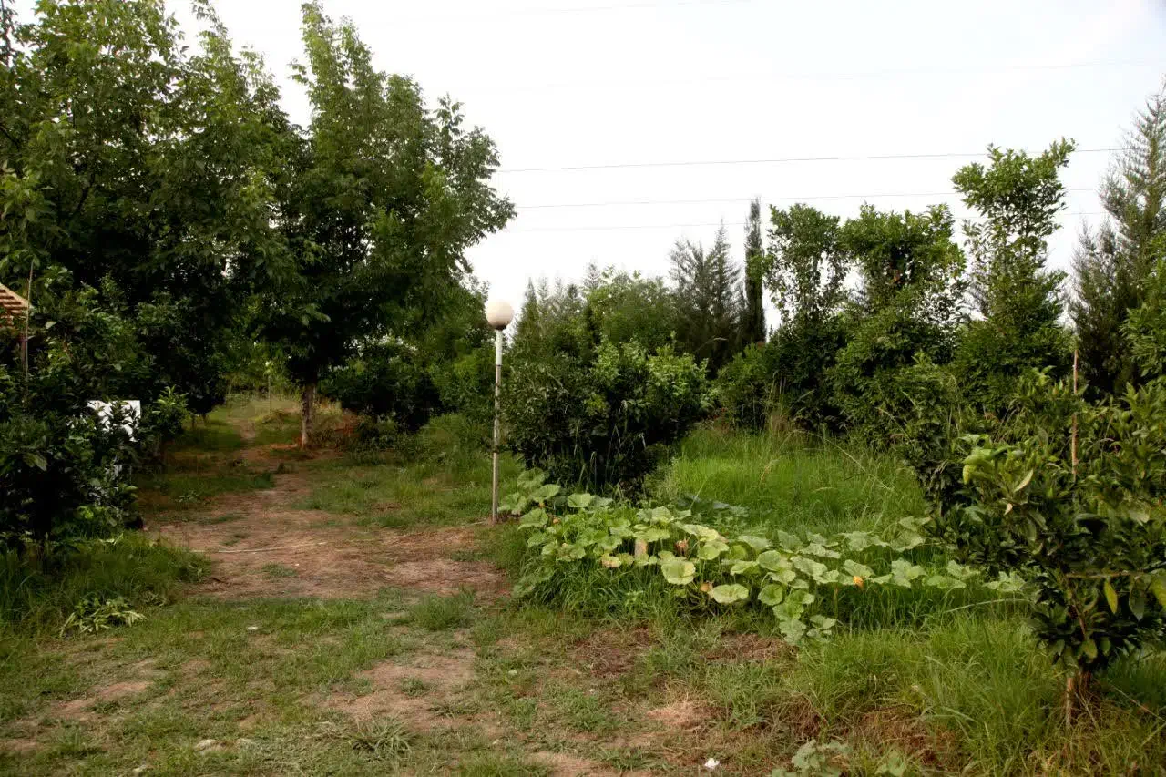 کلبه سوئیسی جنگلی ۱ خوابه. ویو ابدی رویایی، بهشت|اجارهٔ کوتاهمدت ویلا و باغ|عباسآباد, |دیوار