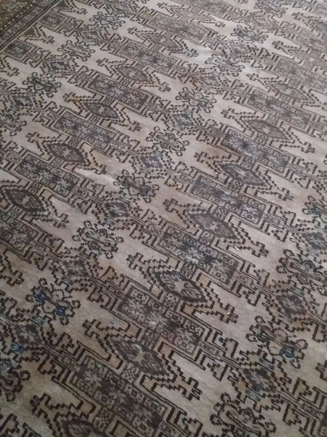 فرش دستبافت ترکمن|فرش|ورامین, شهرک مدرس|دیوار