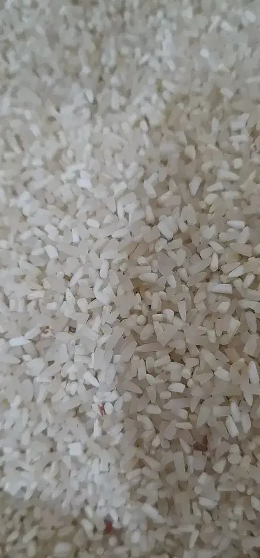 برنج نیم دانه|خوردنی و آشامیدنی|گیلان غرب, |دیوار