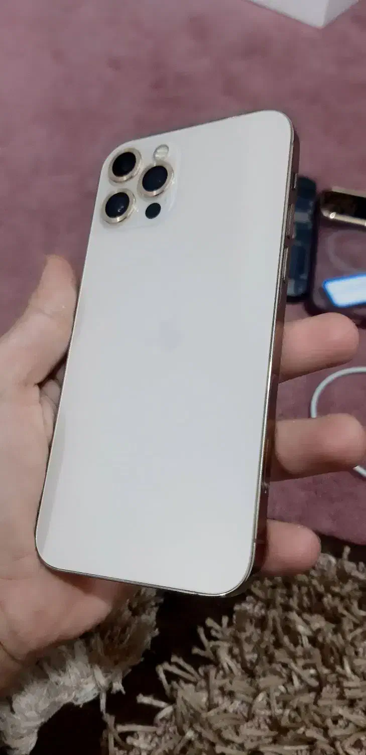اپل iPhone 12 Pro با حافظهٔ ۲۵۶ گیگابایت|موبایل|بندر گناوه, |دیوار