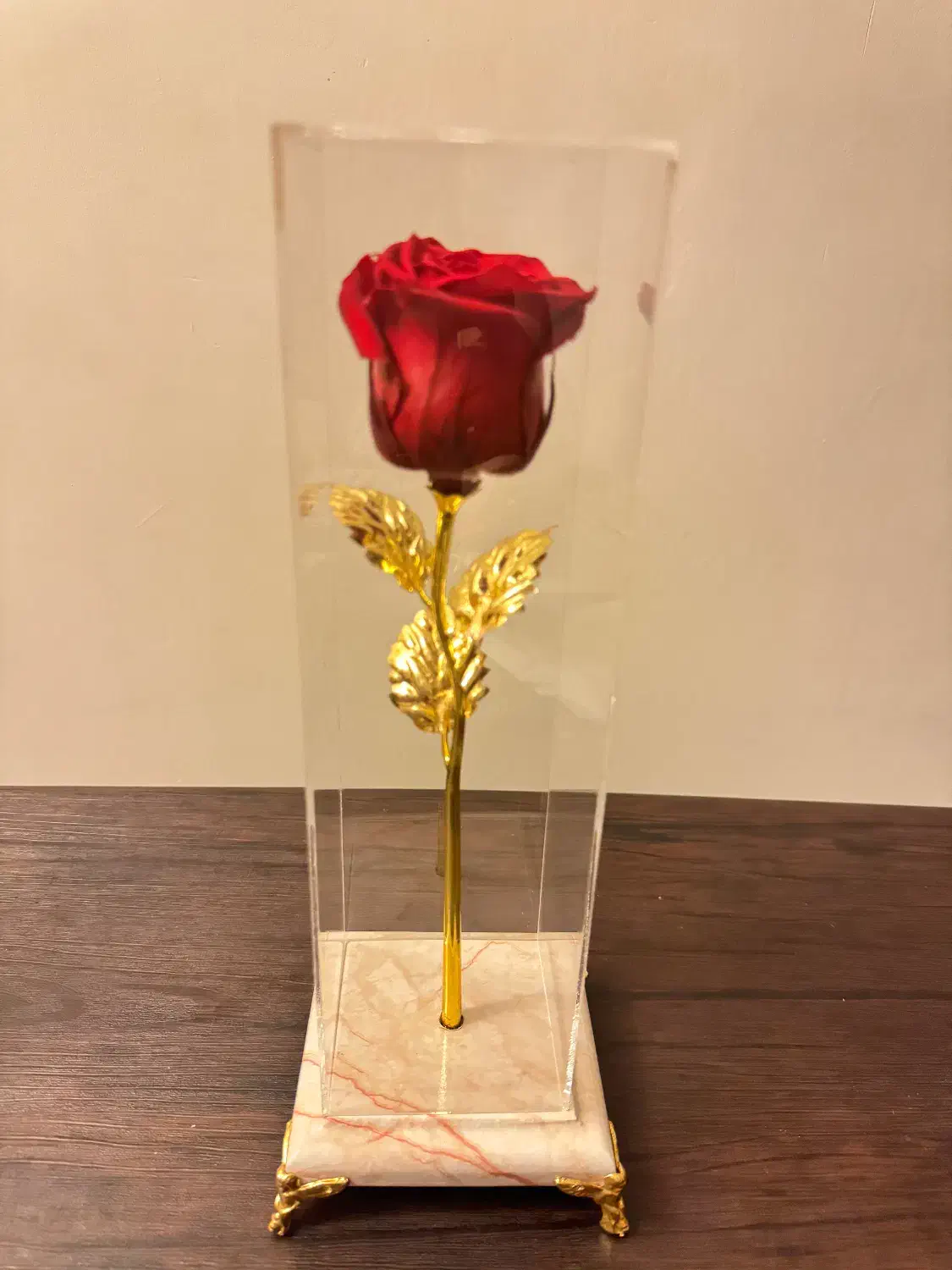 کادو گل طبیعی جاودان با ساقه ی طلایی|صنایع دستی و سایر لوازم تزئینی|شیراز, معالی‌آباد|دیوار