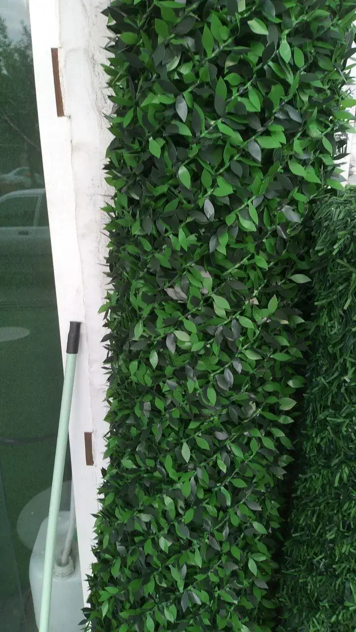 فروش فنس برگی و فنس چمنی|خدمات پیشه و مهارت|آمل, |دیوار