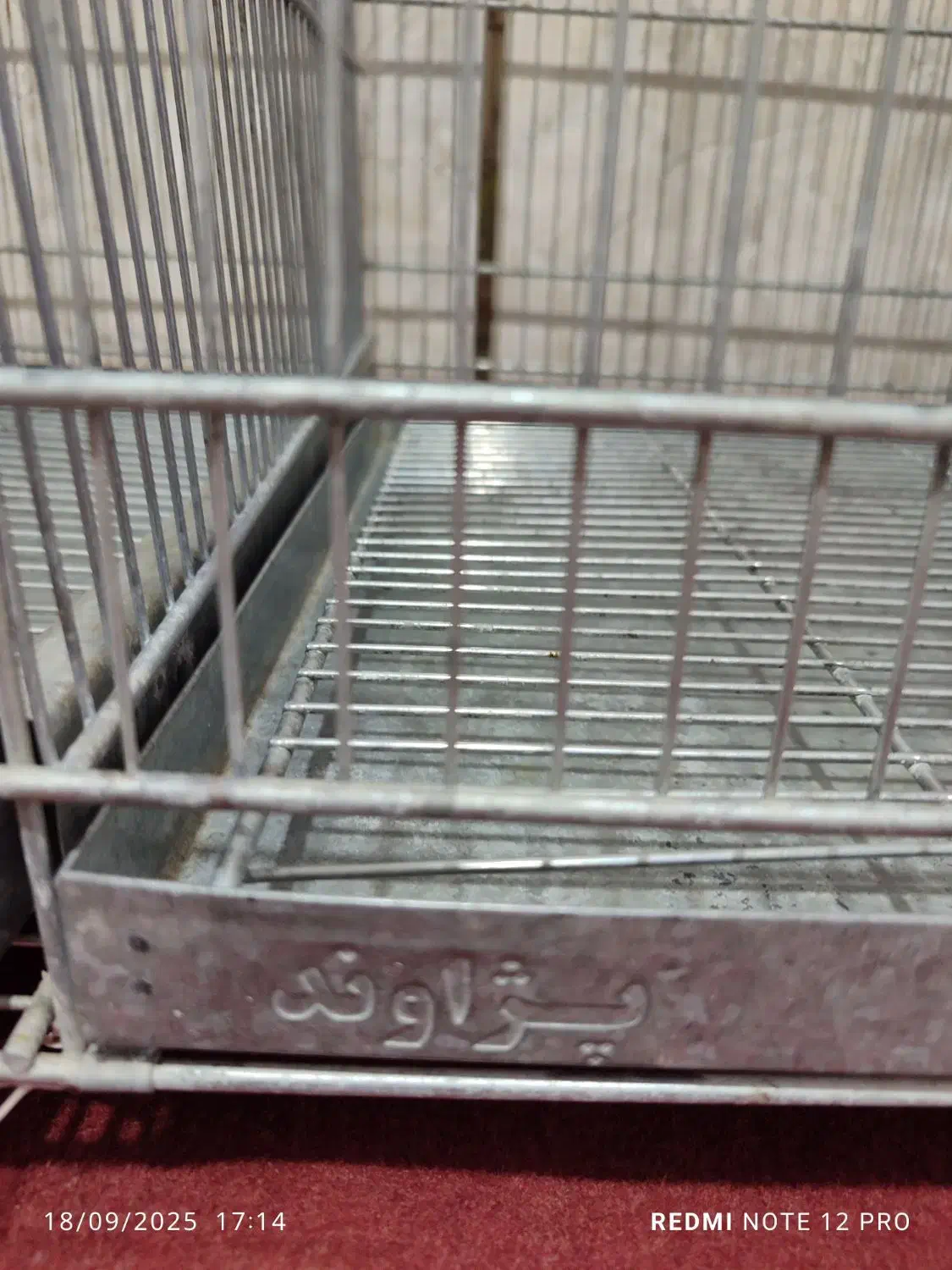 قفس جفتخوان پژاوند.لانه عروس هلندی|لوازم جانبی حیوانات|نهاوند, |دیوار