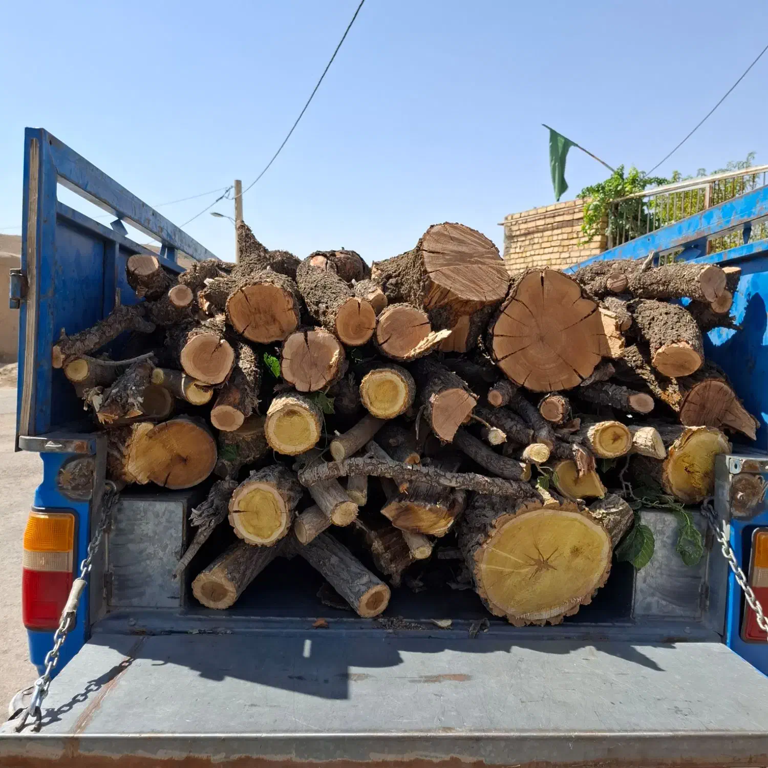 حرص و تیمار درختان به صورت علمی و خرید چوب|خدمات باغبانی و درختکاری|کمیجان, |دیوار