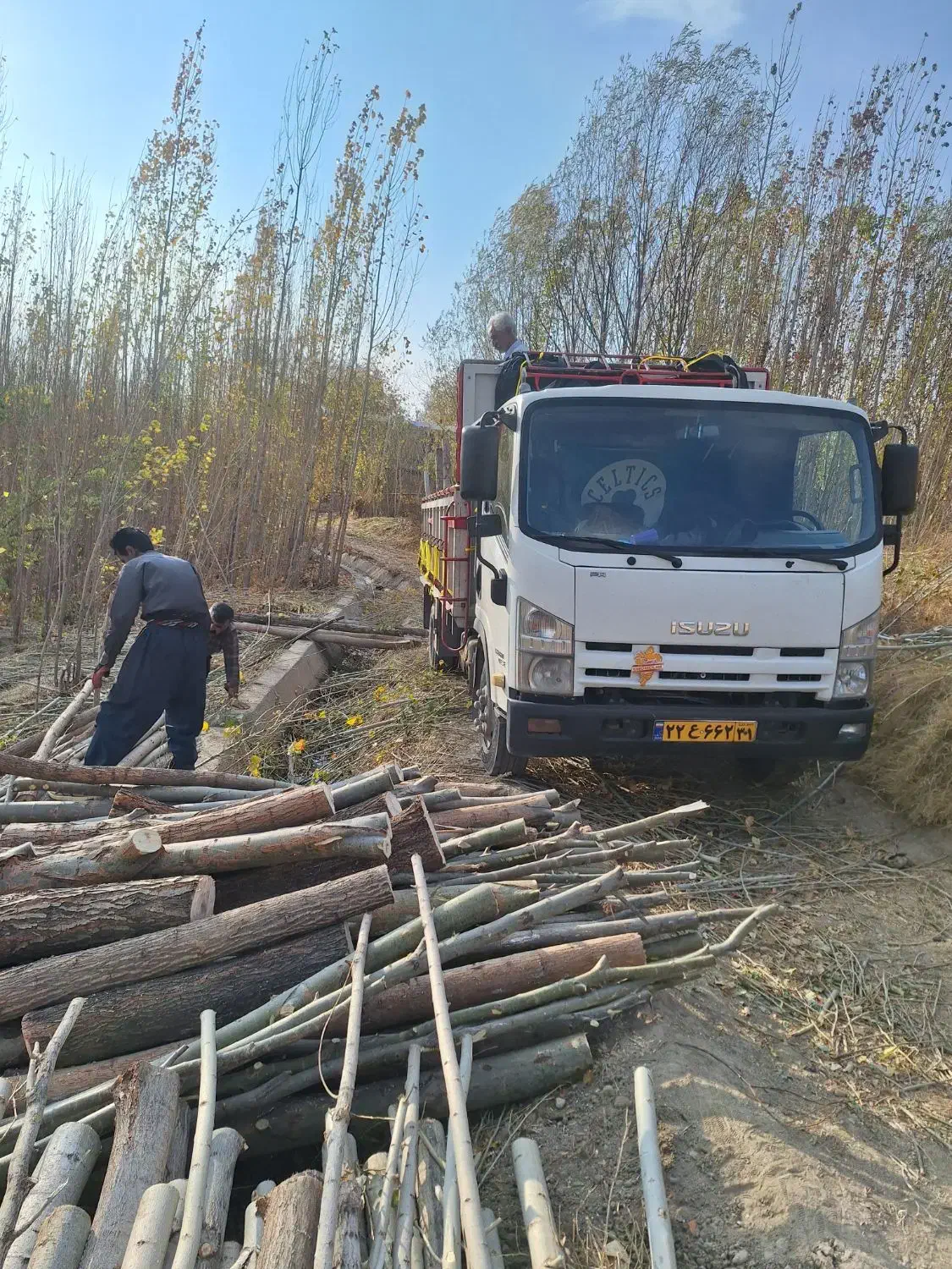 باربری و چوب مجوز دار|خدمات حمل و نقل|الشتر, |دیوار