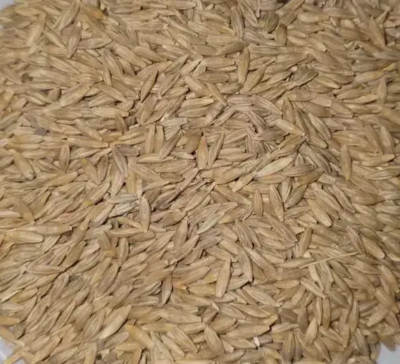 جو دیمی|عمدهفروشی|چاراویماق, |دیوار