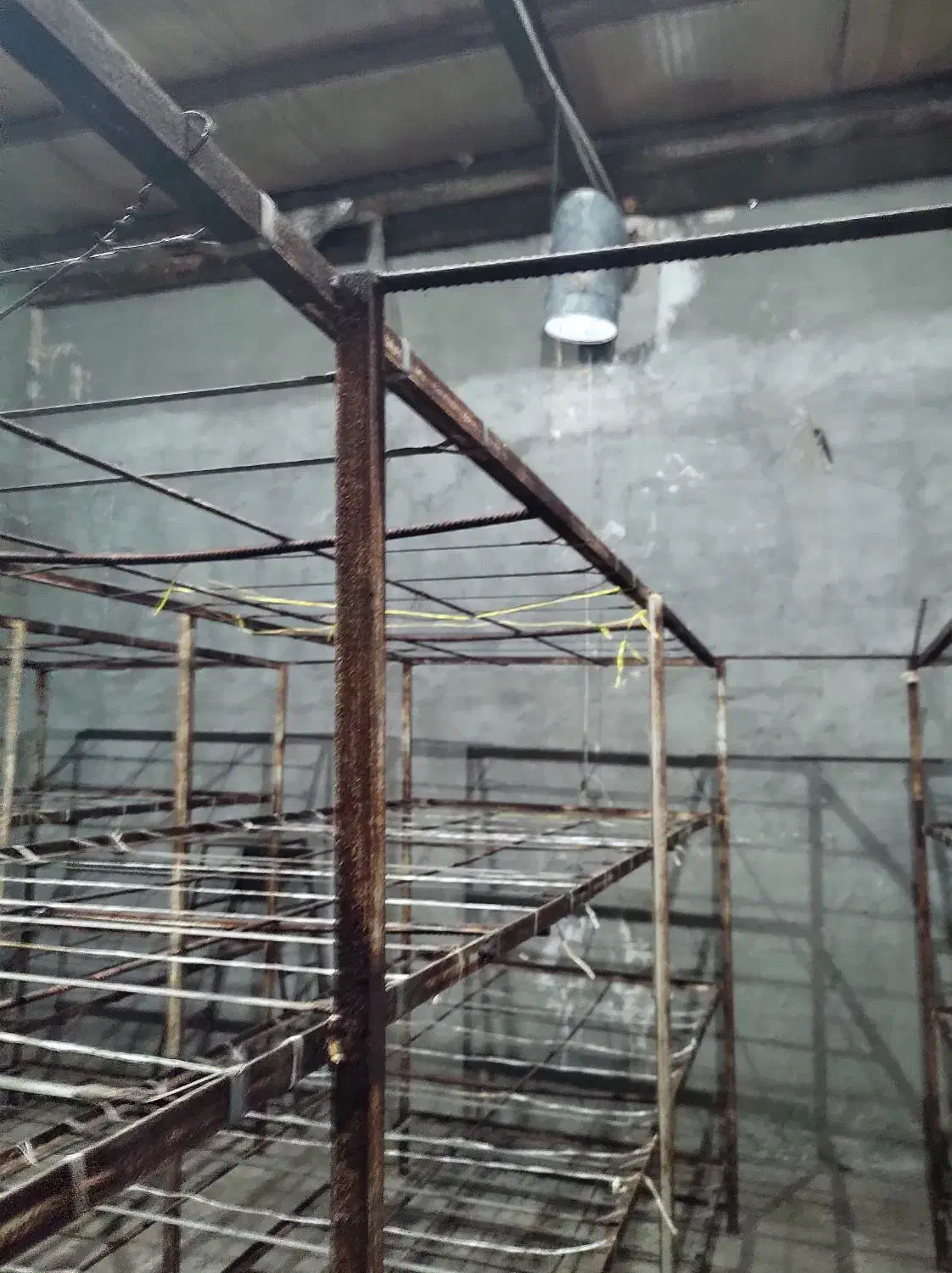 اجاره سالن قارچ|اجارهٔ دفتر صنعتی، کشاورزی، تجاری|مراغه, |دیوار