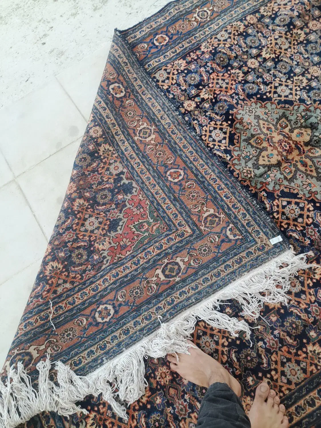 قالیچه دستباف شیش متری|فرش|بجنورد, |دیوار