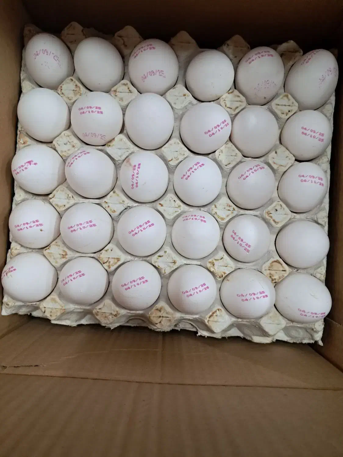 پخش و فروش عمده تخم مرغ|خوردنی و آشامیدنی|تهران, مینابی|دیوار