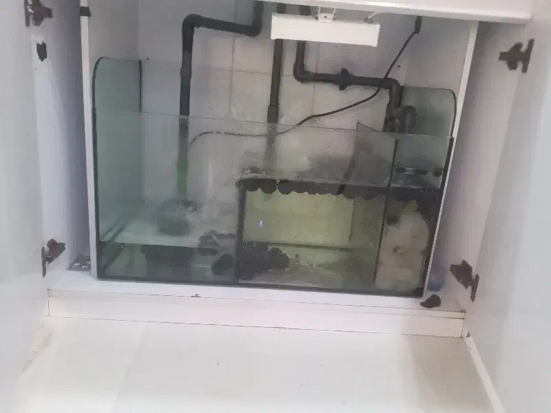 معاوضه آکواریوم آب شور با تانک کوچکتر|ماهی|بندرعباس, |دیوار