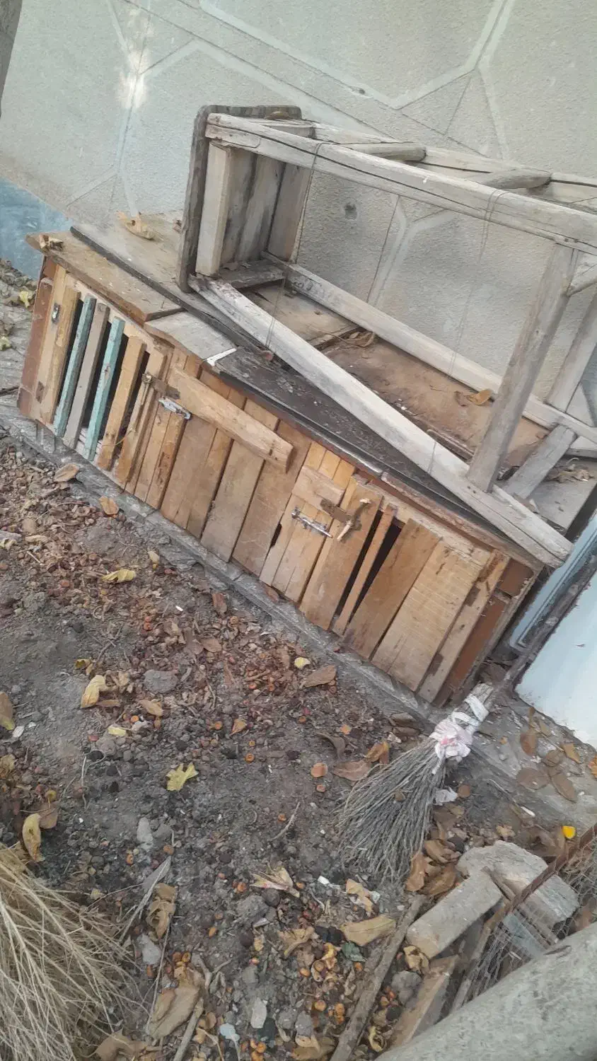 قفس چوبی قفس جوجه پران درب پنجره تابلو|لوازم جانبی حیوانات|خوی, |دیوار