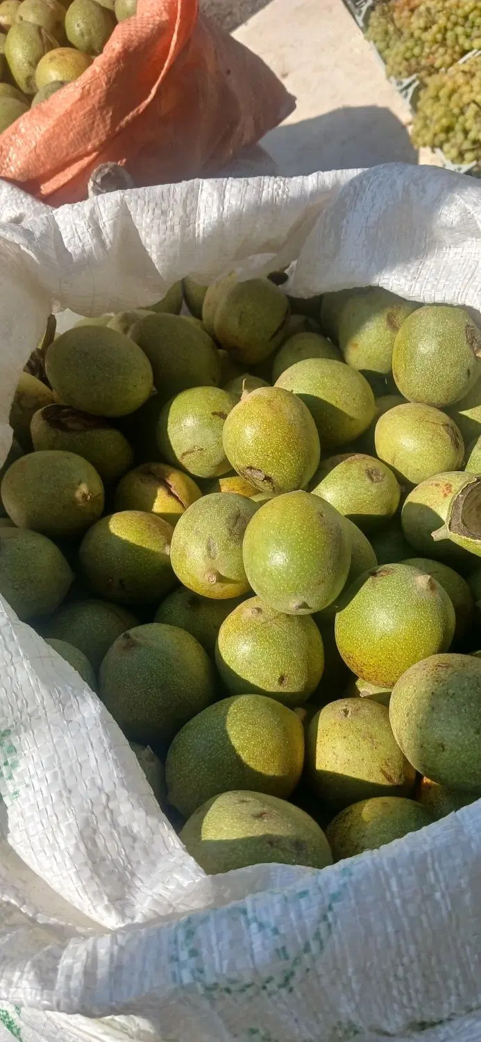 گردوی رتبه یک ایرانی با اصالت (ضیاءآباد)قزوین|خوردنی و آشامیدنی|تهران, جمهوری|دیوار