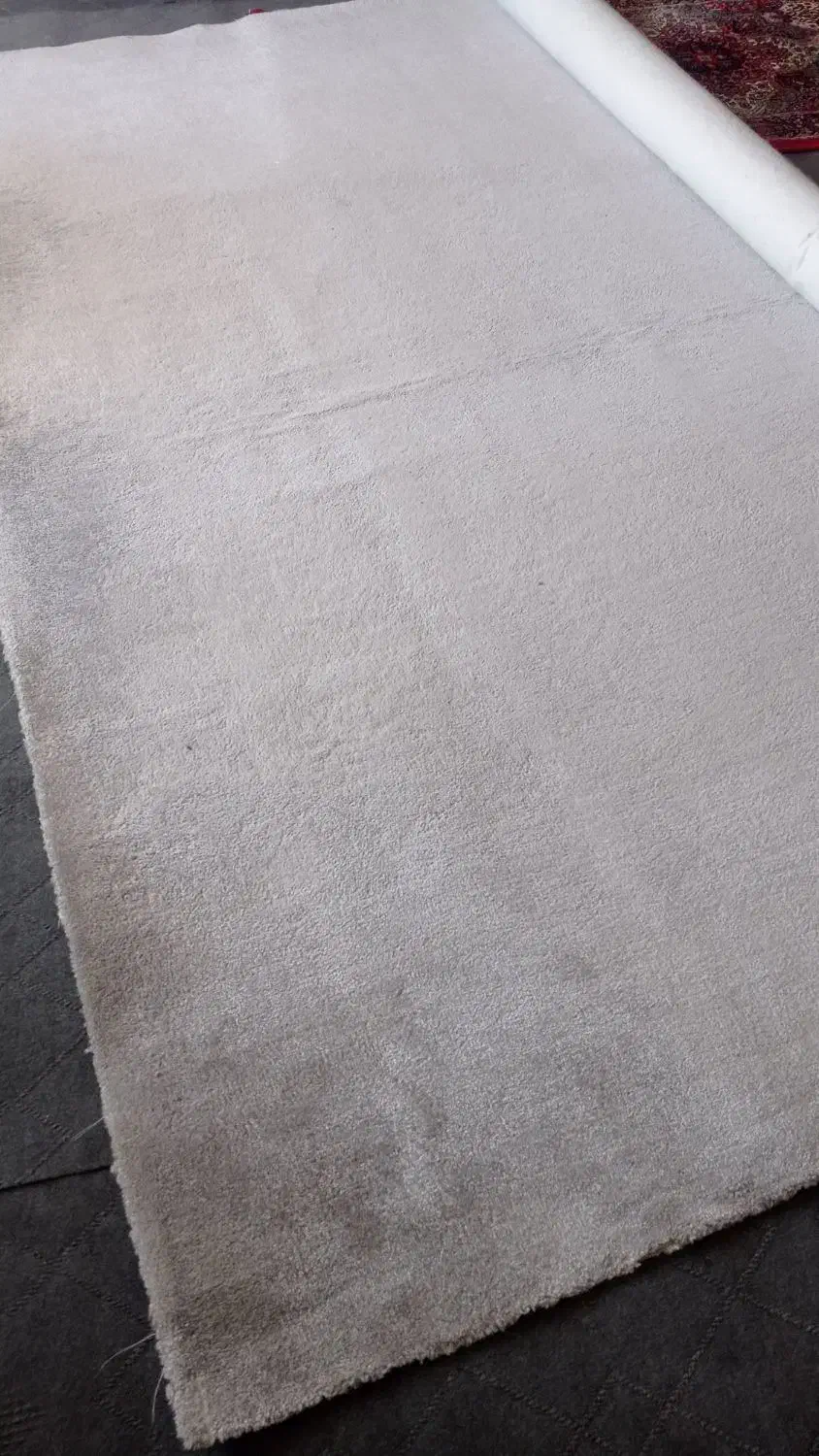 پالاز موکت|موکت|الشتر, |دیوار