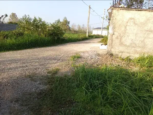 یک قطعه زمین|فروش زمین و ملک کلنگی|رشت, سیا اسطلخ|دیوار