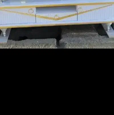 میز تلویزیون فقط یه تومن|میز تلویزیون|بروجرد, |دیوار