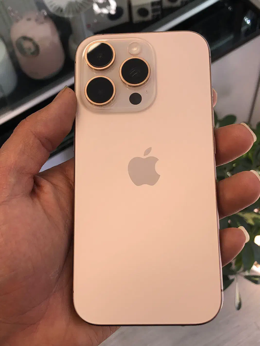 ایفون ۱۶ پرو|موبایل|همدان, |دیوار