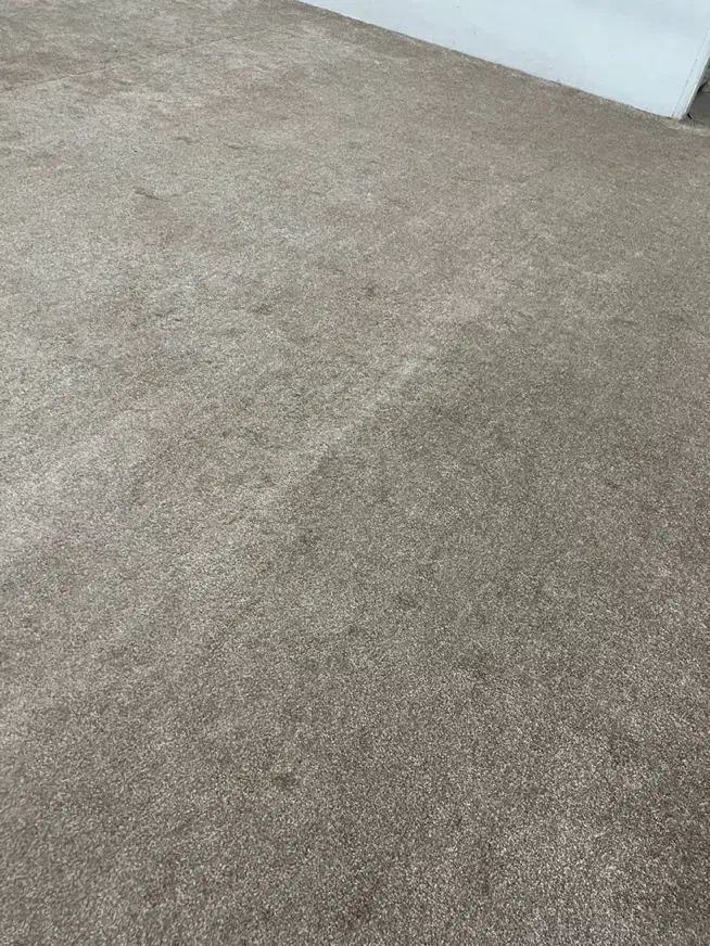 موکت پالاز|موکت|اهواز, کوی علوی|دیوار