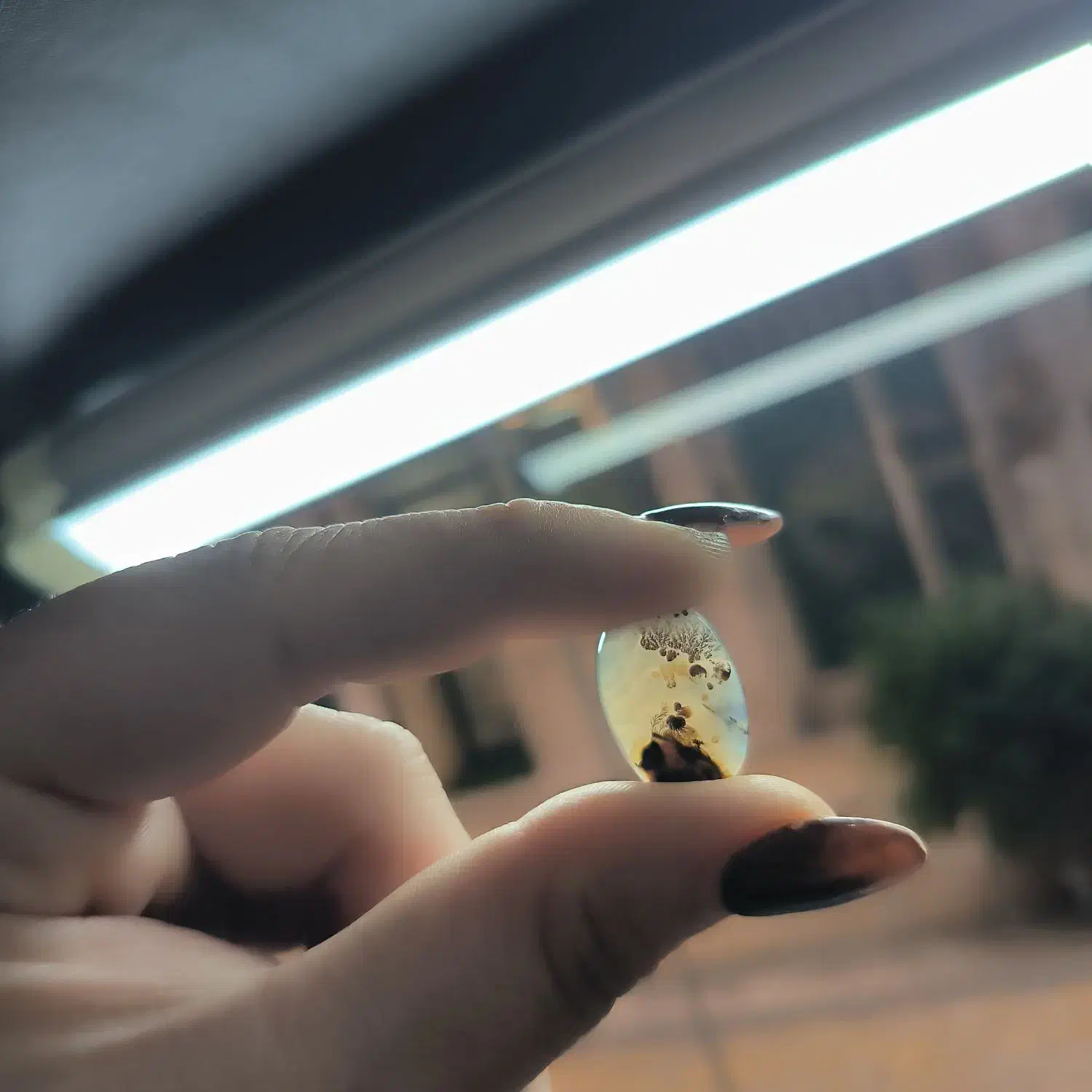 سنگ شجر|جواهرات|ماسال, |دیوار