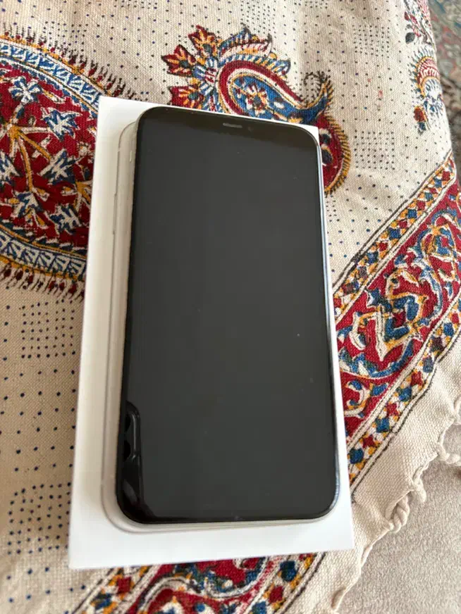 ایفون ۱۱|موبایل|تهران, پرستار|دیوار