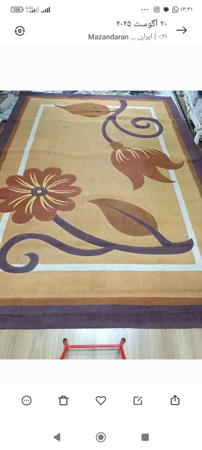 گلیم فرش دوازده متری|گلیم، جاجیم، گبه|ساری, |دیوار