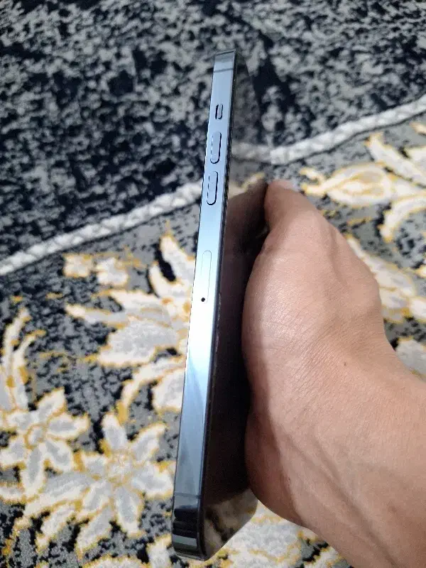 آیفون ۱۲ پرومکس|موبایل|تربت‌حیدریه, شهید بهشتی|دیوار