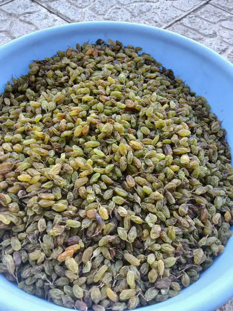 شیره انگور،انواع کشمش،برگ زردالو،سنجد،رب انگور|خوردنی و آشامیدنی|شهرکرد, |دیوار