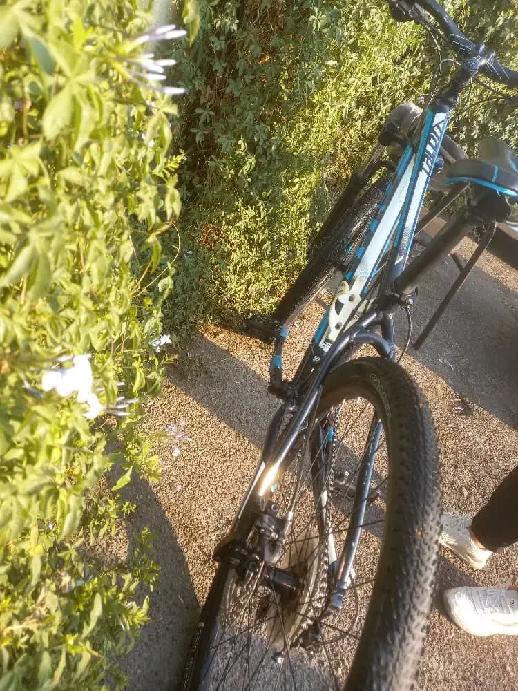 دوچرخه جاینت تالون ۲|دوچرخه، اسکیت، اسکوتر|شیراز, اصلاح‌نژاد|دیوار