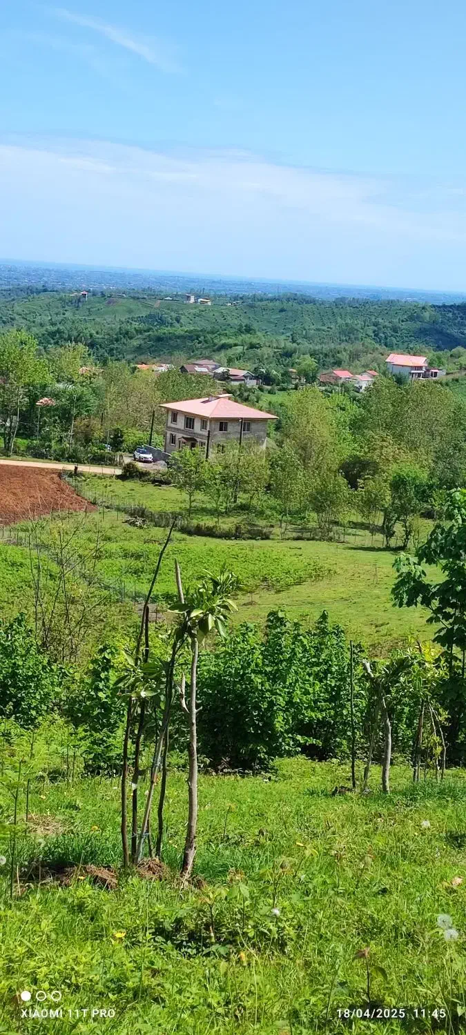 اجاره سالیانه خانه در بالا اربولنگه لنگرود|اجارهٔ خانه و ویلا|اطاقور, |دیوار