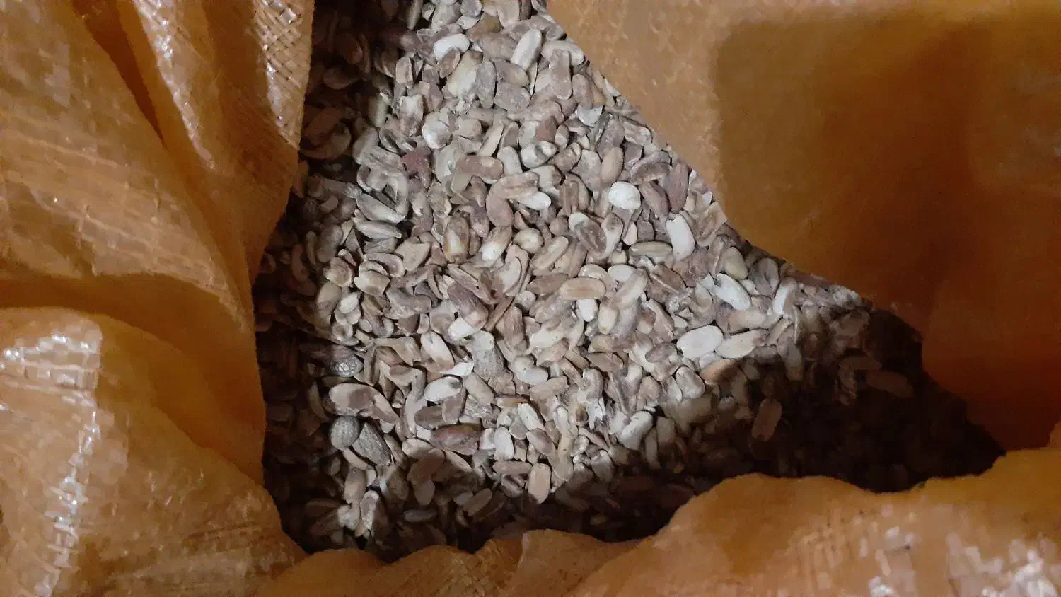 بادام برای خوراک مرغ و جوجه|عمده‌فروشی|آستانه اشرفیه, |دیوار