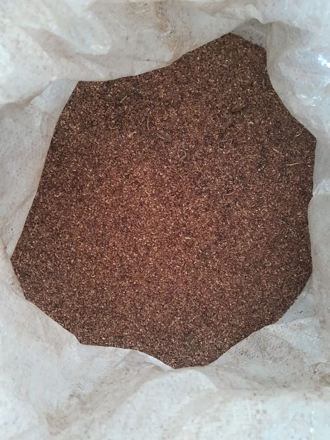 فروش فوری کنجد|خوردنی و آشامیدنی|مینودشت, |دیوار