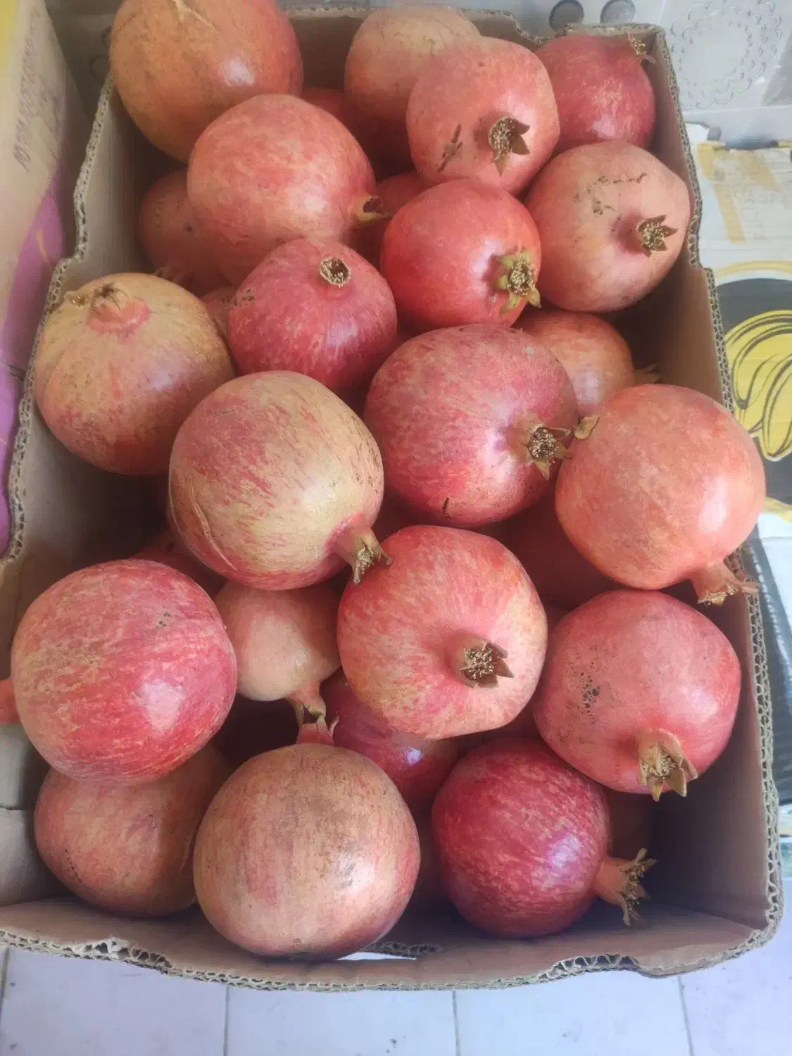 انار اصل عقدا دانه سیاه|خوردنی و آشامیدنی|عقدا, |دیوار