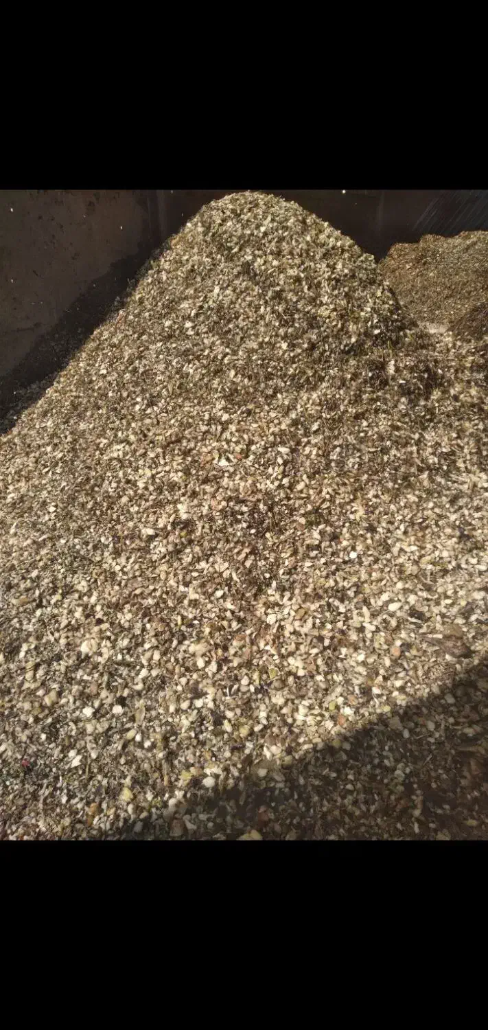 چقندرقند|لوازم جانبی حیوانات|فامنین, |دیوار