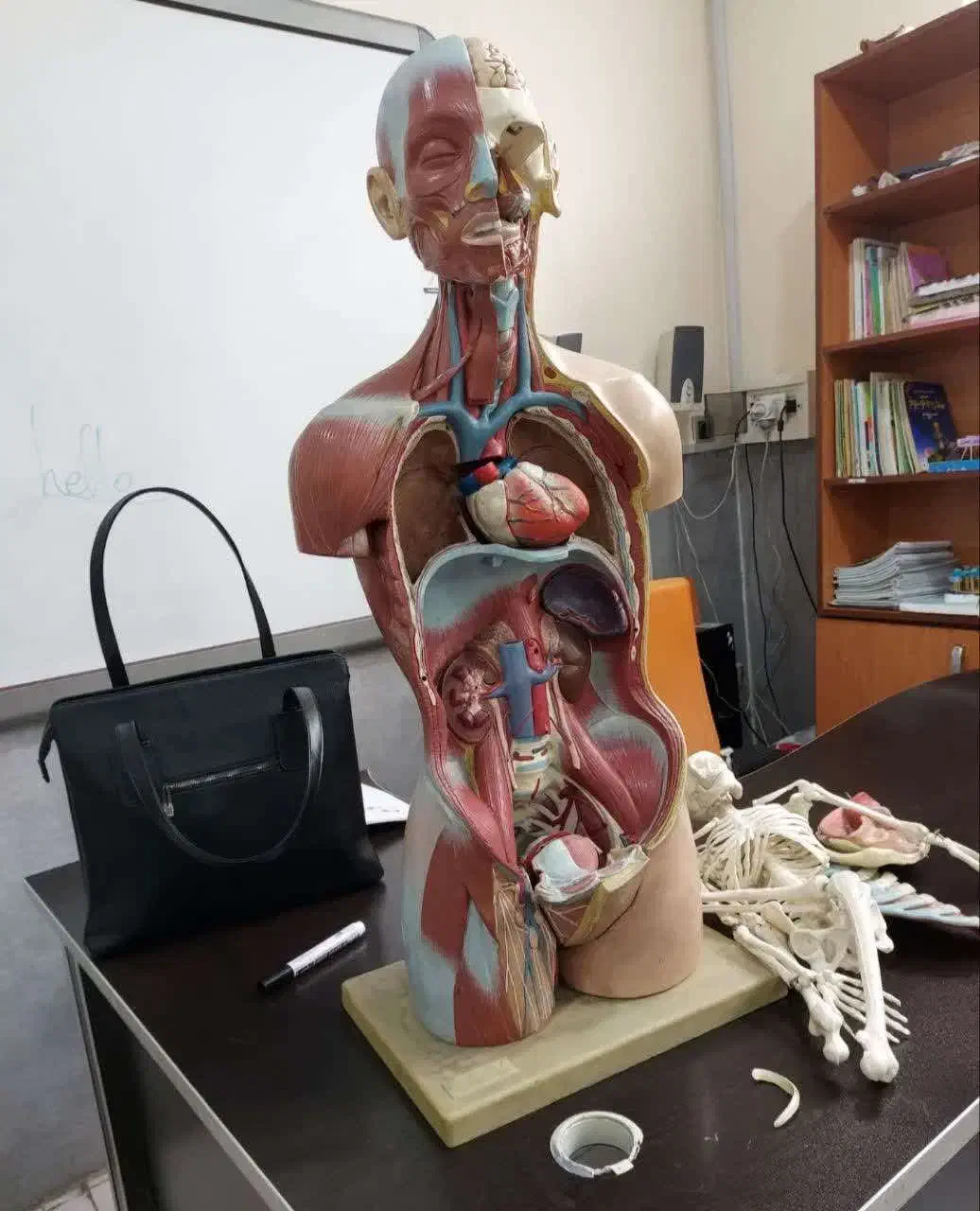 اموزشگاه علمی  شاد برای دانش اموزان و دانشجویان|خدمات آموزشی|تهران, سنائی|دیوار