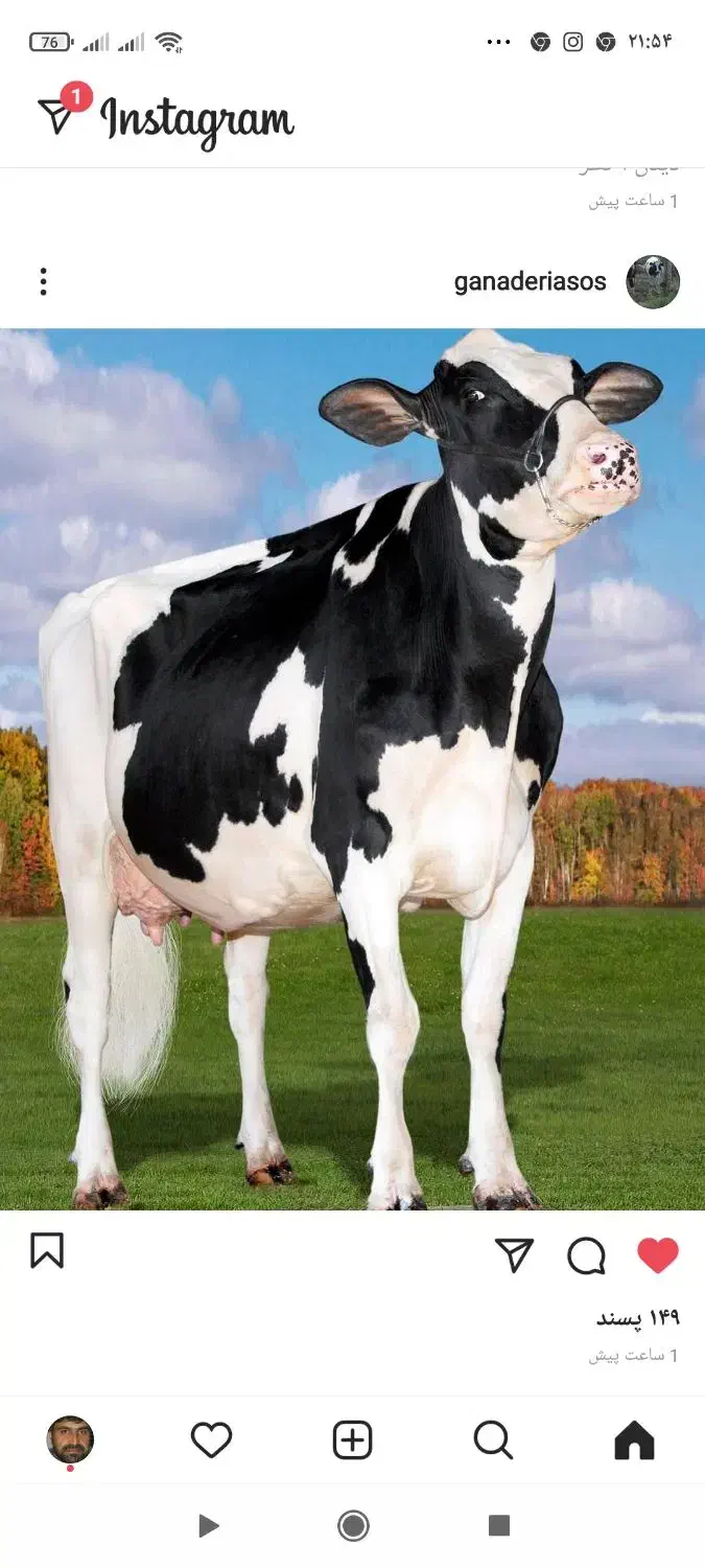 کارگر دامداری،گاوداری|استخدام سرایداری و نظافت|قشلاق دشت, |دیوار