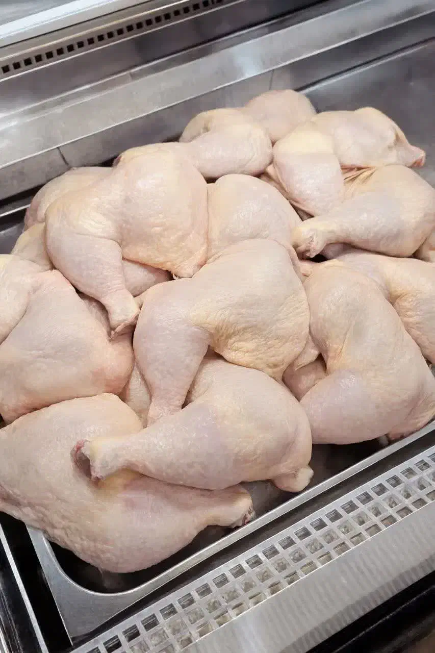 ران فقط ۹۹|خدمات پذیرایی، مراسم|یزد, |دیوار