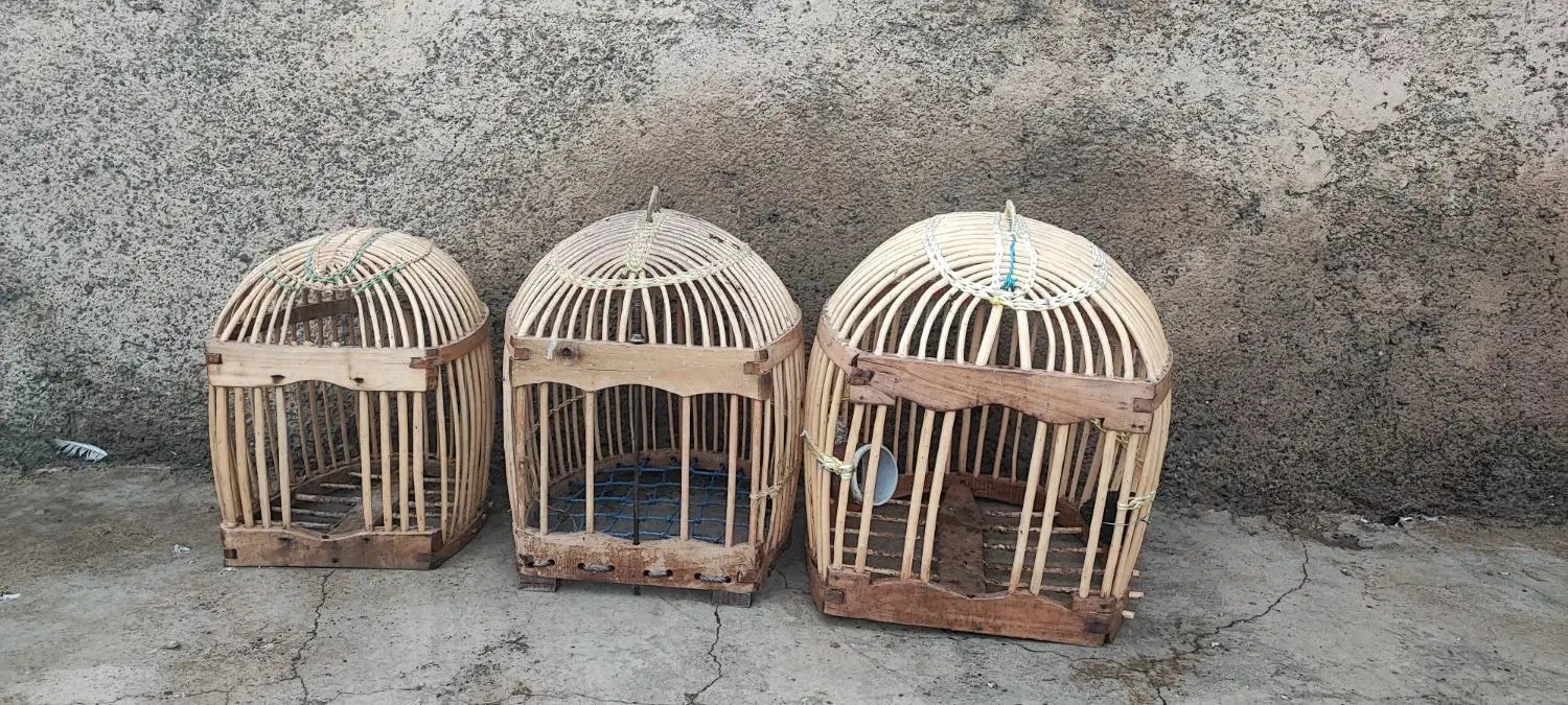 قفس|لوازم جانبی حیوانات|کرمانشاه, |دیوار