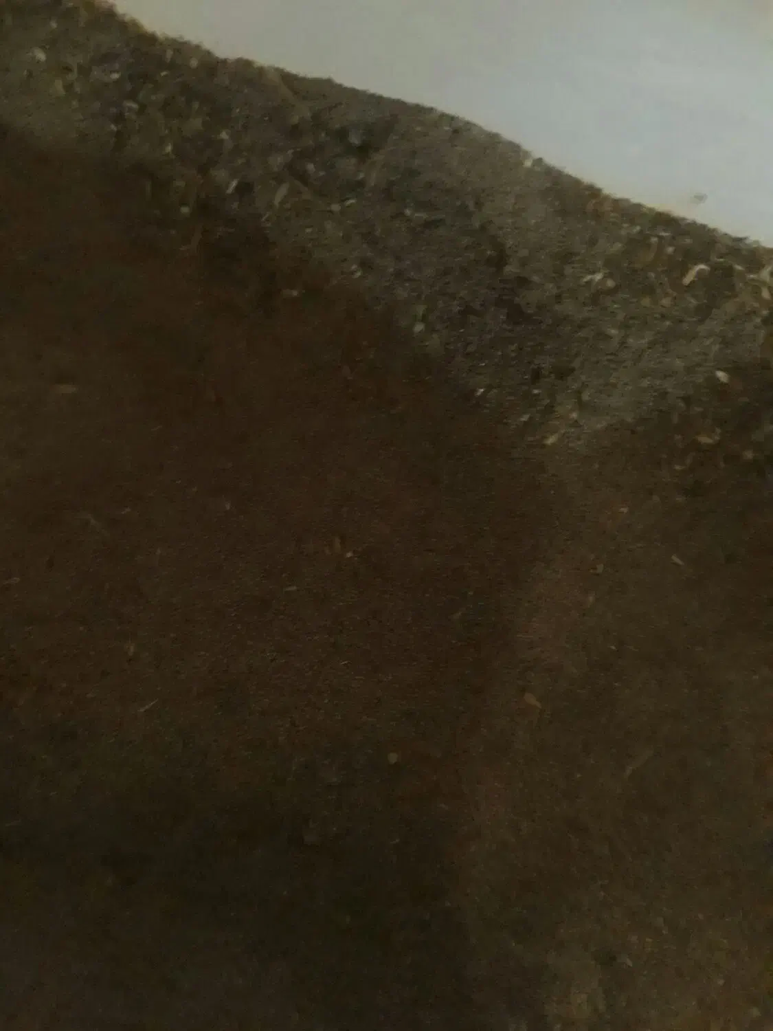 کود میلورم|گل و گیاه طبیعی|رویان, |دیوار