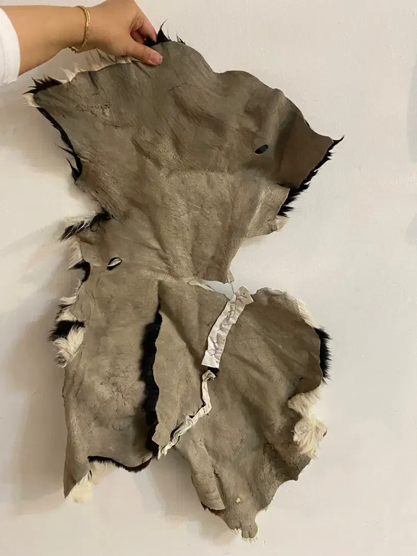 پوست گاو|پادری|تهران, پونک|دیوار