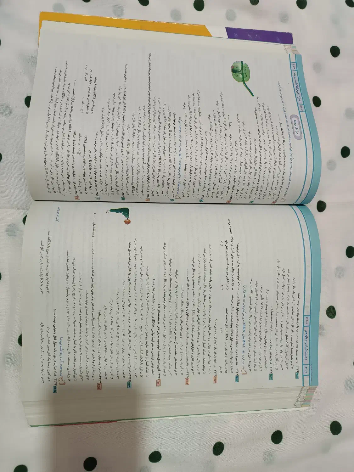 کتاب جامع زیست شناسیiQ(جلد اول)|کتاب و مجله آموزشی|شاندیز, |دیوار