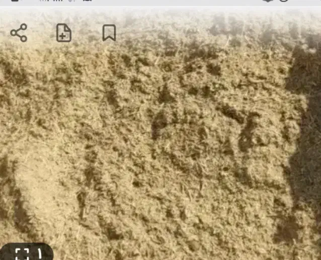 کاه نخود تمیز و آمده داخل شلیت  بدون هیچ خاکی|لوازم جانبی حیوانات|زاغه, |دیوار