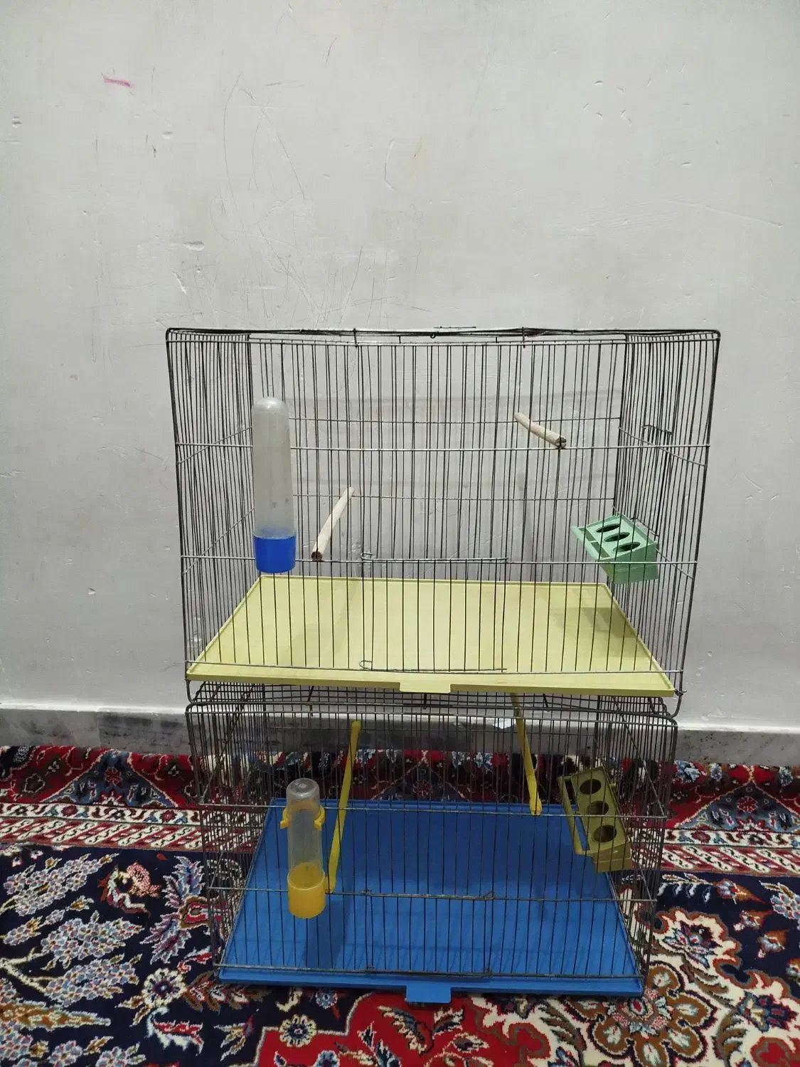 قفس پرنده|لوازم جانبی حیوانات|شاهین‌شهر, نبوت|دیوار