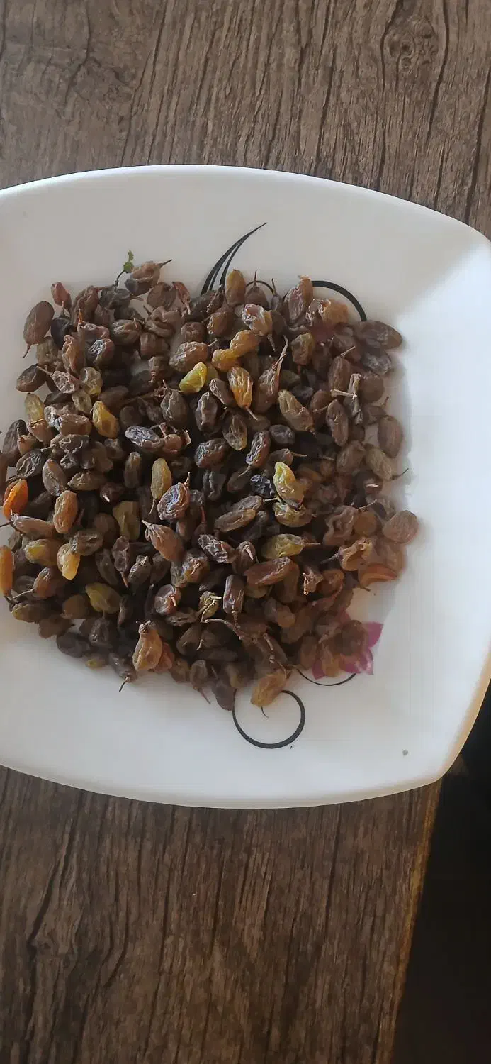 کشمش سایه خشک|خوردنی و آشامیدنی|قره چای, |دیوار