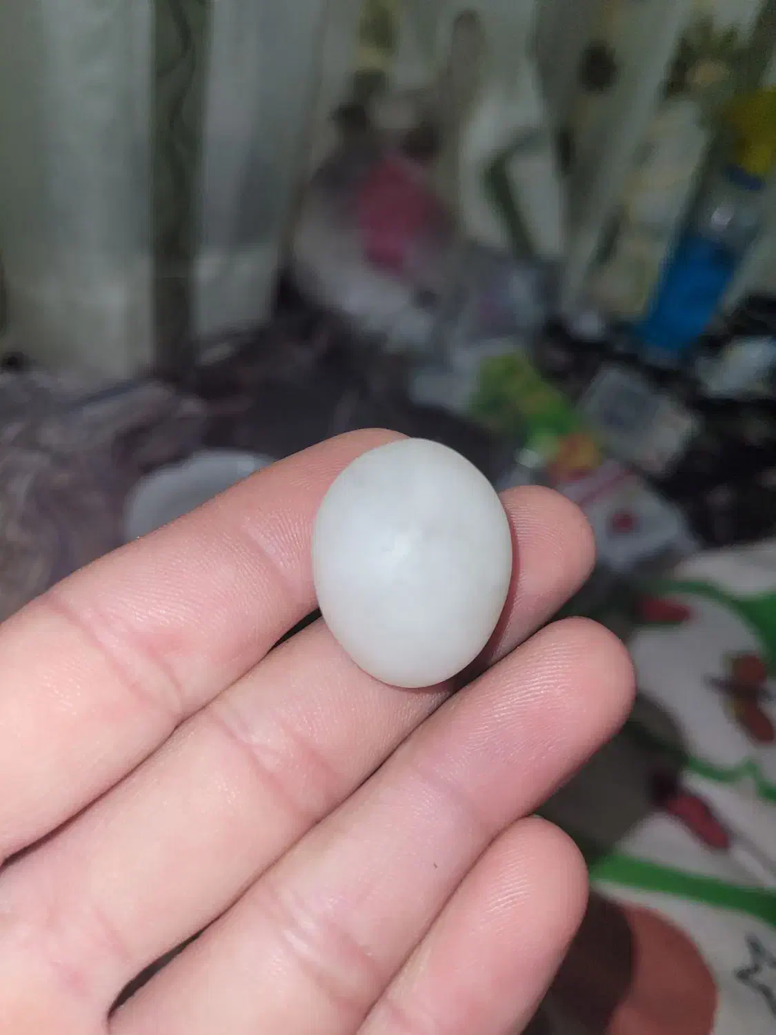 سنگ اوپال|کلکسیون اشیاء عتیقه|اسفراین, |دیوار