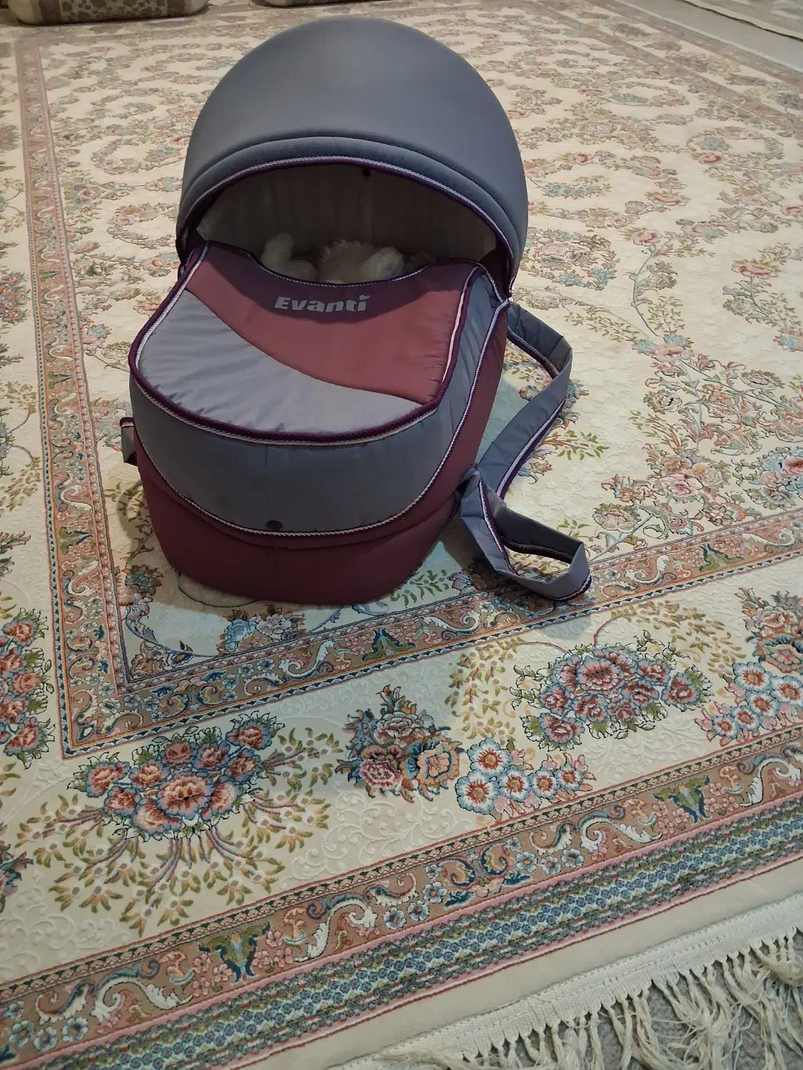 نی نی لای یا ساک نوزاد نو|تخت و صندلی بچه|دوگنبدان, |دیوار