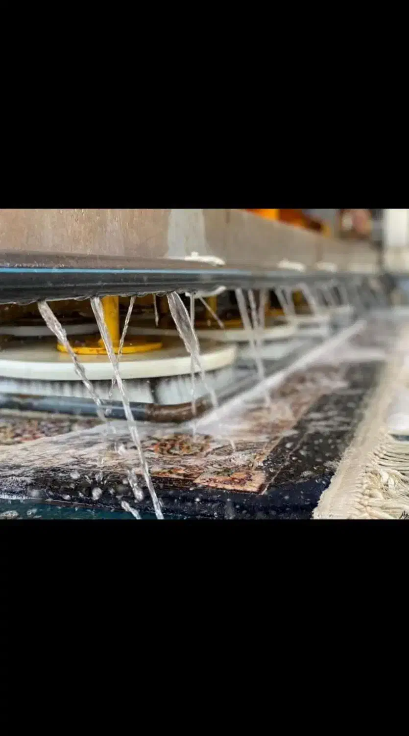 قالیشوی(تماماتوماتیکیکتا)|خدمات نظافت|زاهدان, |دیوار