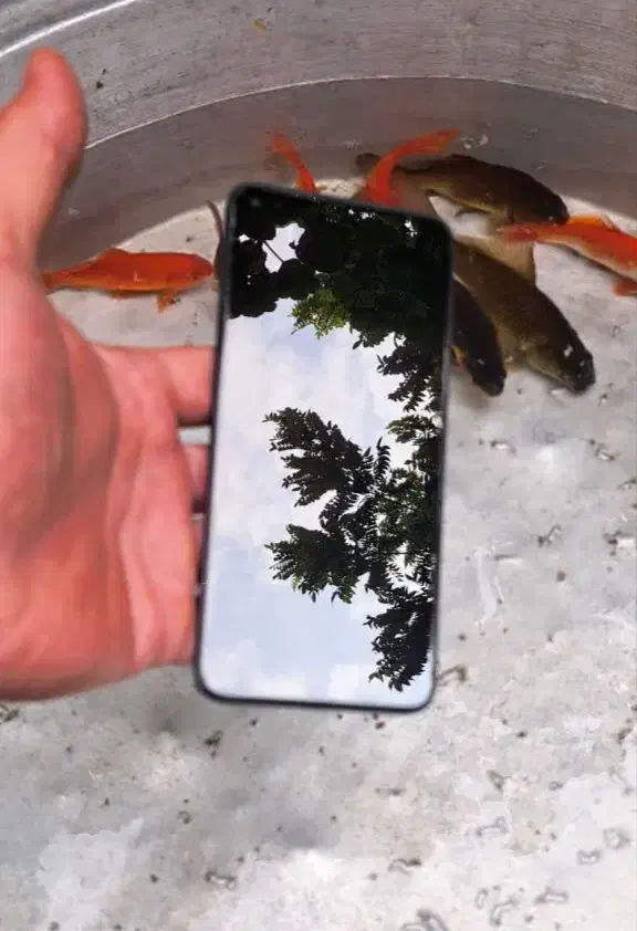 آنر Lite 50|موبایل|گرگان, |دیوار