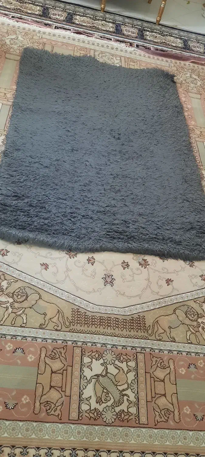 فروش فوری وسایل|فرش|پرند, فاز ۶|دیوار