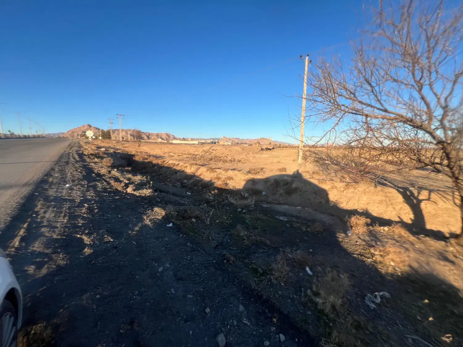 زمین حاشیه خیابان امام رضا|فروش زمین و ملک کلنگی|تربت‌حیدریه, منظر|دیوار